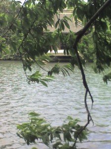 liu_0055